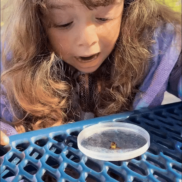 Microscopio per bambini Exhily!